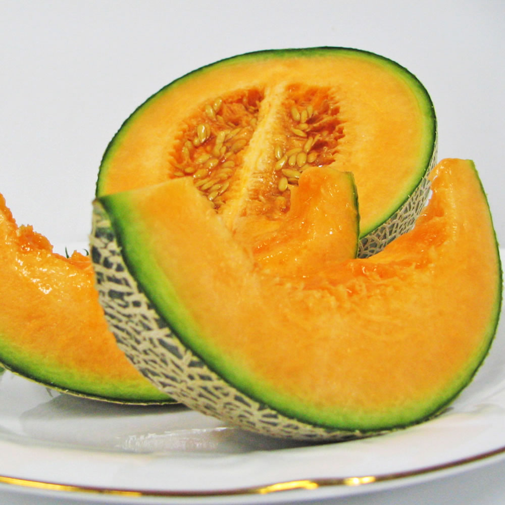 ドリームレッド