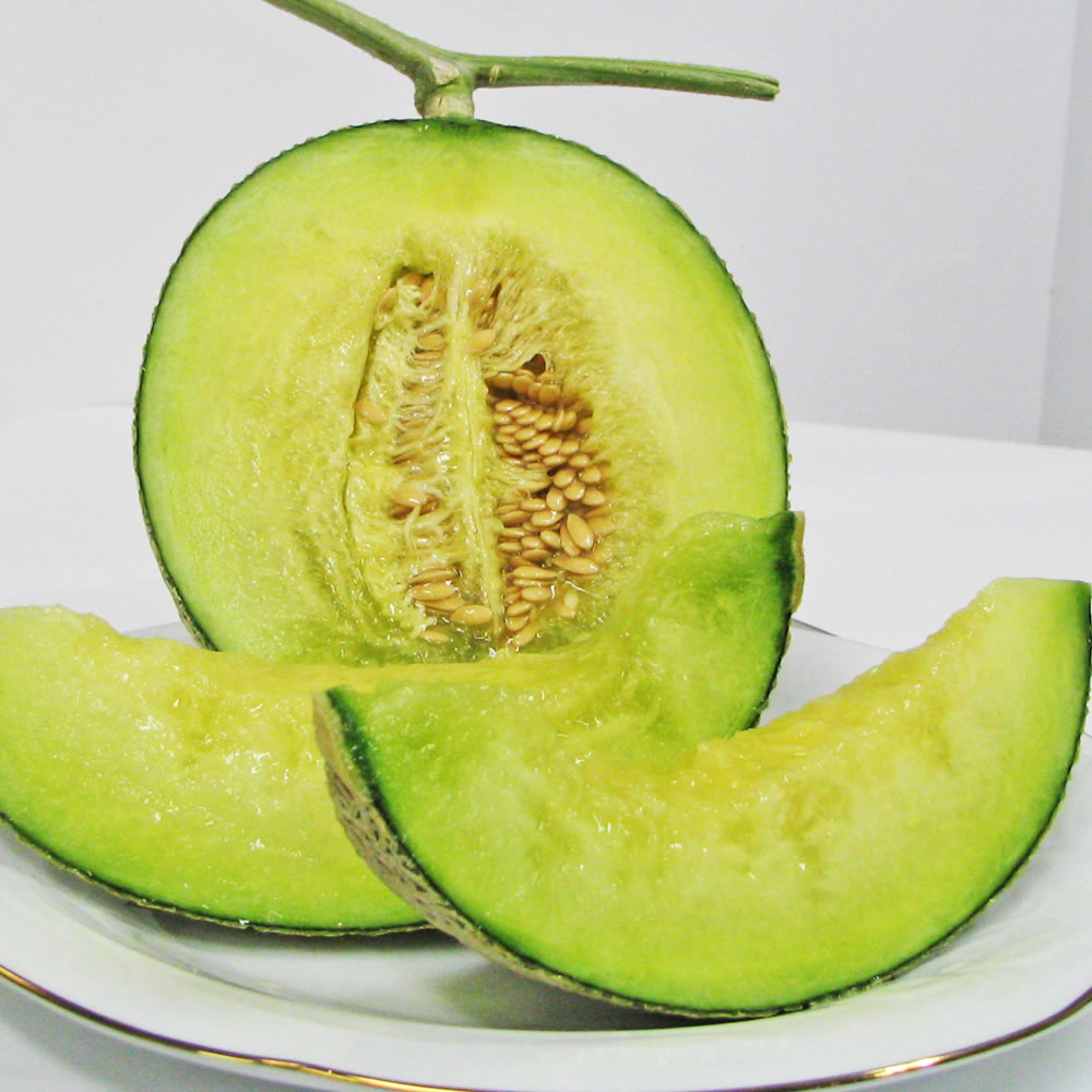 アールスメロン